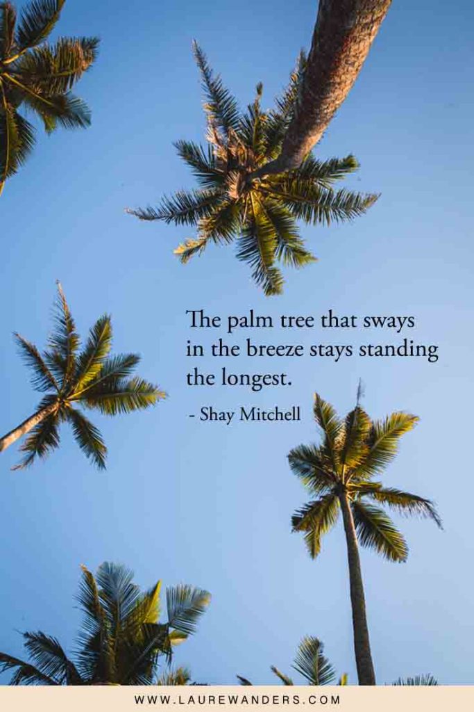 Palm tree quotes 